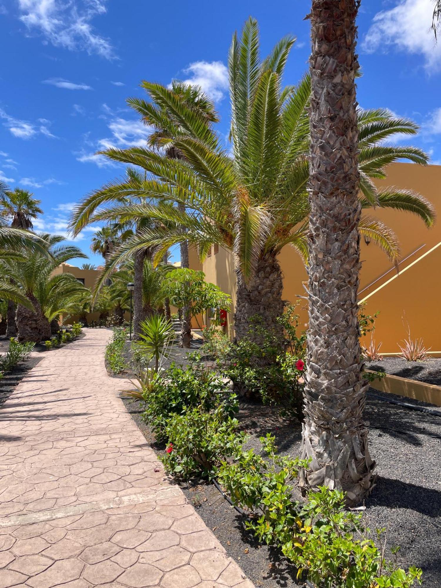 Apartamento B-Rent Casa Angela Pool View Corralejo Exterior foto